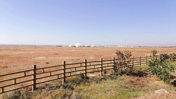 Wulantala Happy Pasture, Xilamuren Grassland