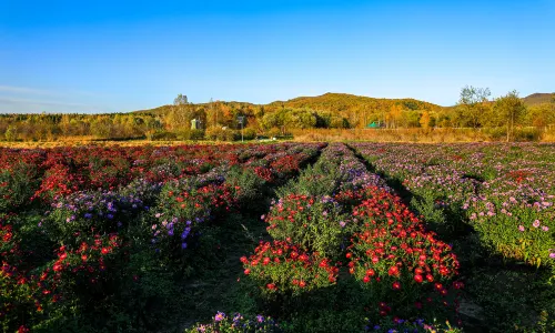 Xishui National Forest Park