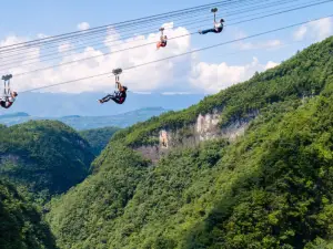 Zip Line