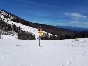 Station de Ski de Montagne de Lure