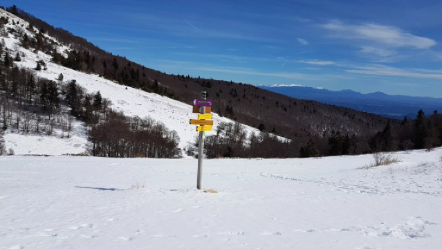 Station de Ski de Montagne de Lure