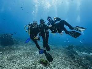 Scuba Diving in Komodo