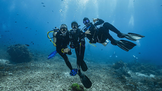 Scuba Diving in Komodo