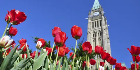 加拿大蒙特利爾來回渥太華+加拿大國會+自然博物館一日遊