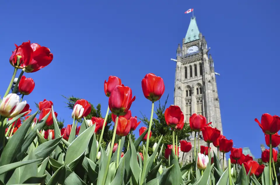 2_Parliament Hill