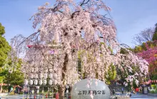 Ueno Park