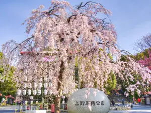 Công viên Ueno