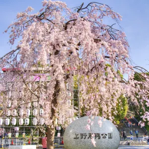 Ueno Park