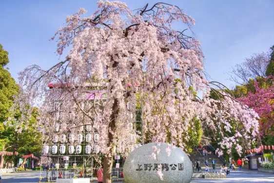 Hotels near Ueno Park