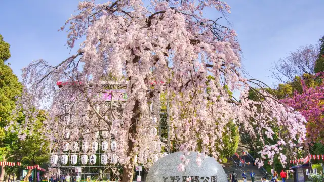 Ueno Park