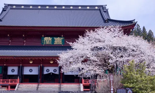 Nikko Toshogu Shrine