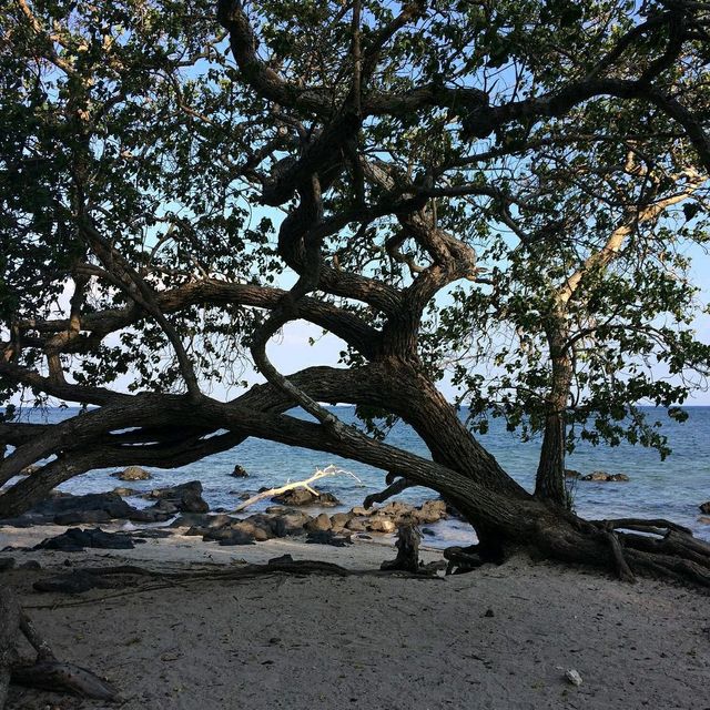 Bama Beach
