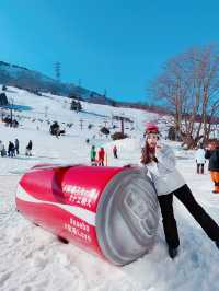日本北陸雪鄉，滑雪好去處，非常適合初學者