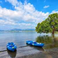 พาเรือคายัคชมธรรมชาติป่าชายเลน