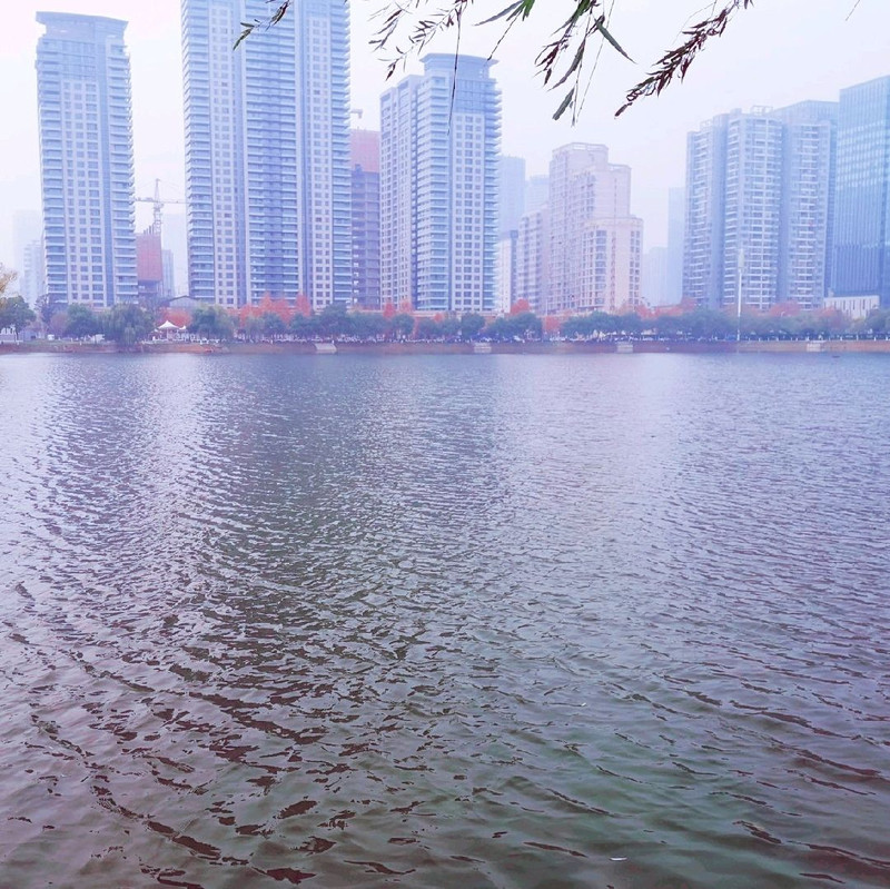 ชมวิวต้นไม้สวยๆกัน