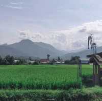 "วัดภูเก็ต" น่าน
