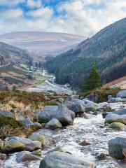 Montagnes de Wicklow