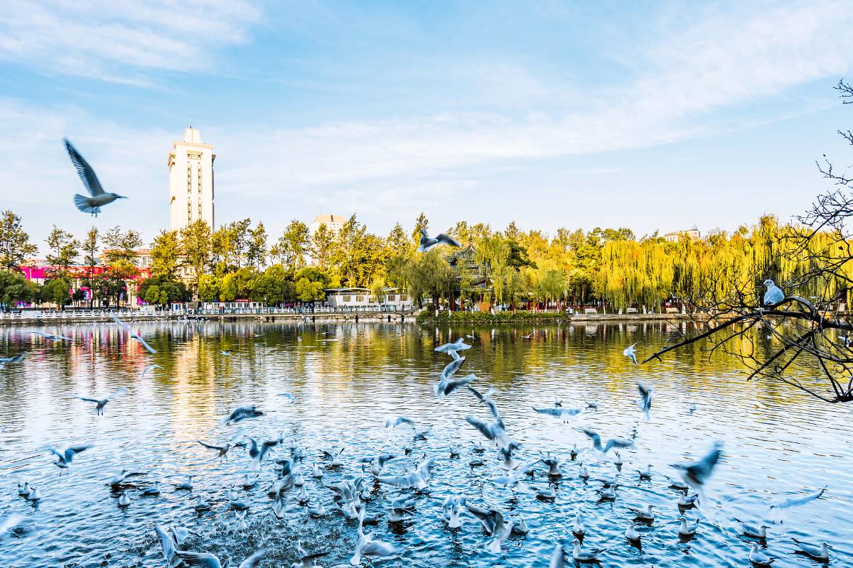 추이후 공원(취호 공원)