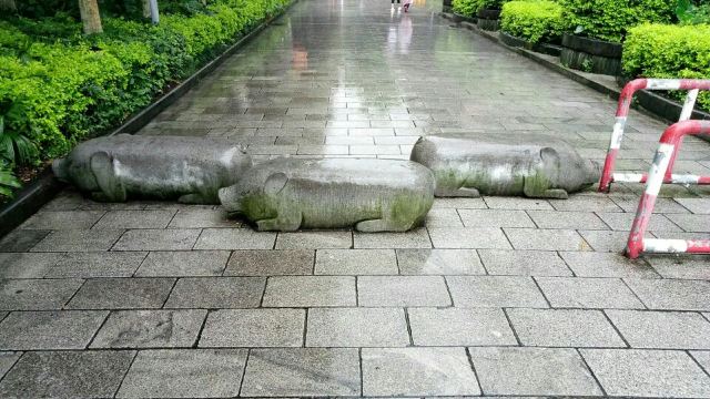 량장쓰후(양강사호)