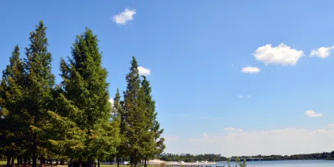 鵝湖玫瑰文化園