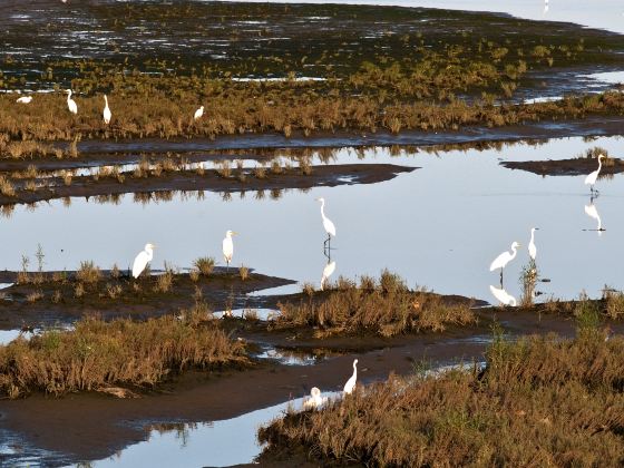 Beidaihe Wetland Park