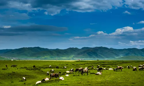 Sangke Grassland