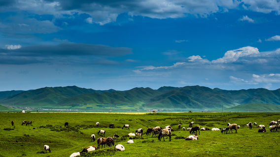 Санко-Саван