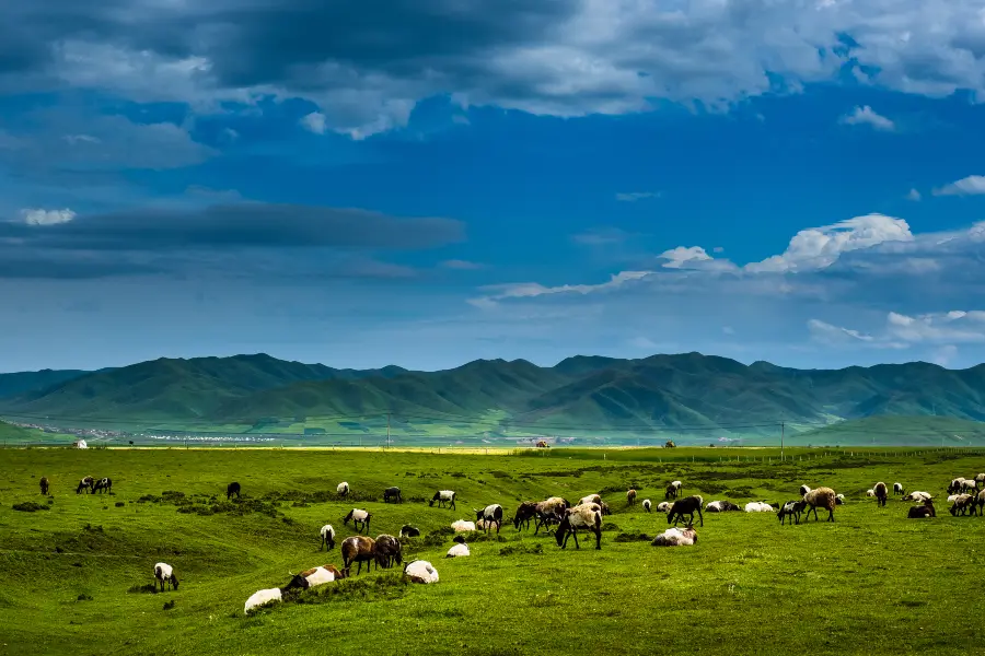 Sangke Grassland