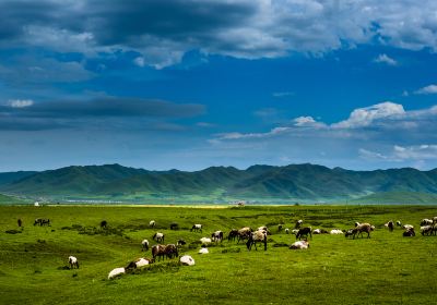 Sangke Grassland