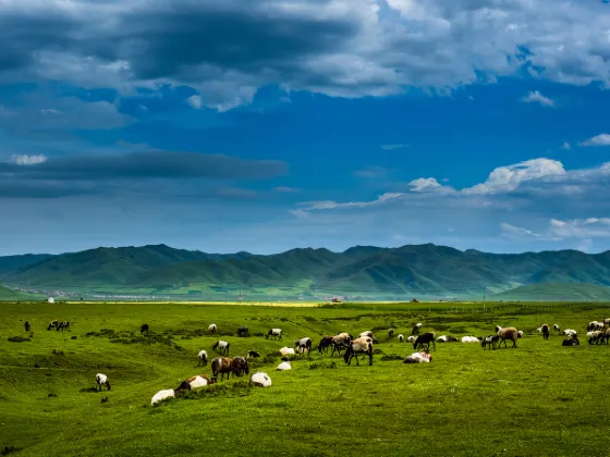 Xiahe Tashi Yang Qiongcang Hotel