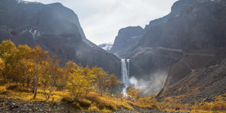 長白山生態植物園
