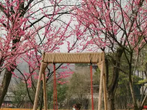 東陽的熱門踏青走春地