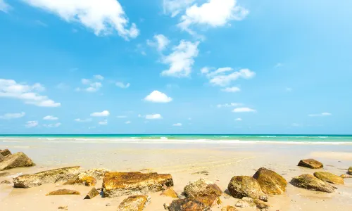 Dolphins Beach