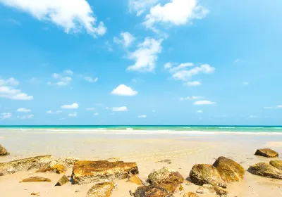 Dolphins Beach
