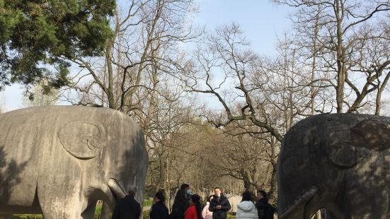 石象🐘路在江苏省南京市钟山风景名胜区的明孝陵景区内，600