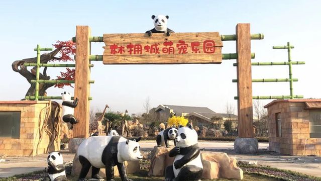 Bozhou Forest City Pet Paradise