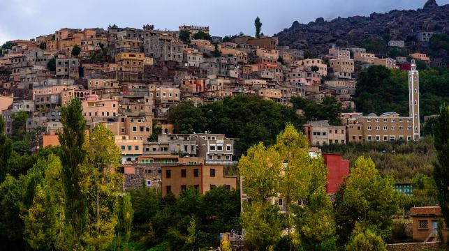 約旦安曼+安曼城堡+彩虹街+傑拉什羅馬古城遺址一日遊