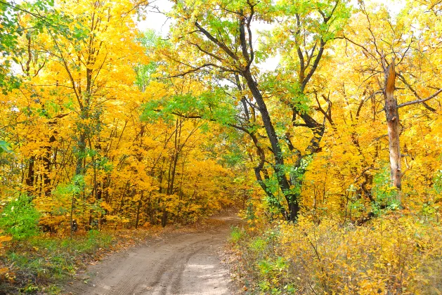 Хоумстей в г. Монреаль