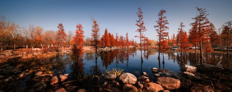 Aowanda Forest Recreation Area