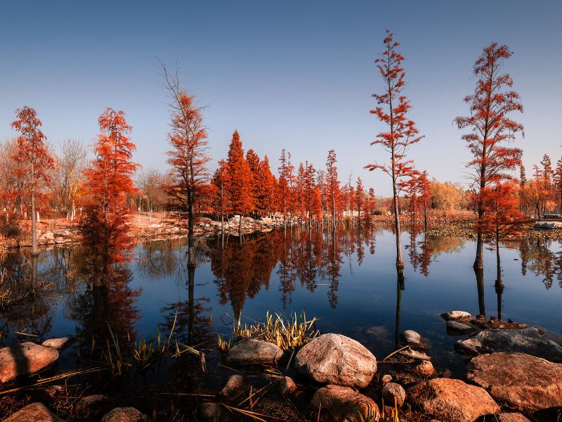 Aowanda Forest Recreation Area