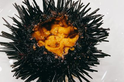 Dongji Xin'anhui B&B (Cliff Photography Branch) .Haihama Taste