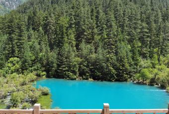 乡土川菜.冷锅鱼.牦牛肉汤锅(沟口店) User Photo