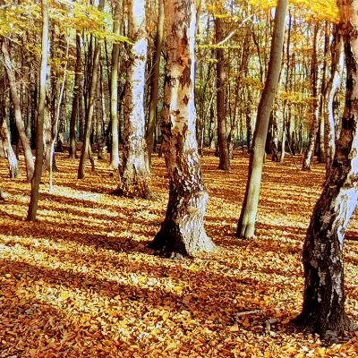 3-звездочные отели в г. Уолсолл