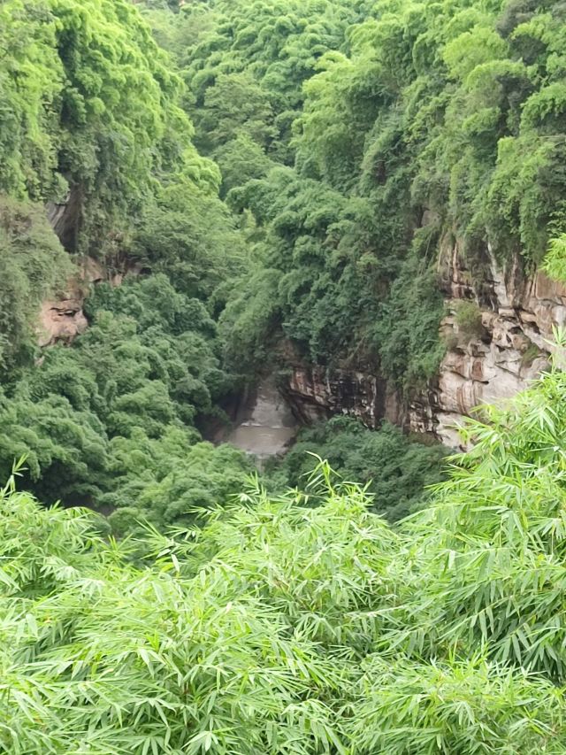 Bamboo Canyon Scenic Area (Jinji Valley)
