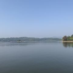 和發大魚王（天目湖店）張用戶圖片