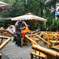 Chengdu People's Park relaxing afternoon