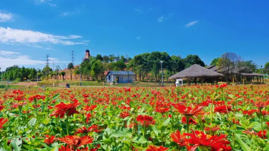 大豐田園