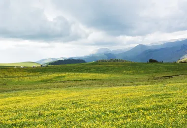 阿克塔斯草原 熱門景點照片
