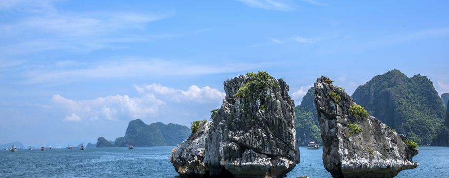 Hòn Gà Chọi