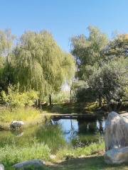 Zhengdong New District Wetland Park